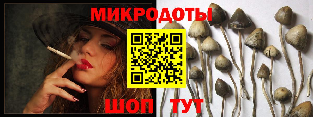 Галлюциногенные грибы Cubensis  Вход с VPN  Каменск-Уральский 